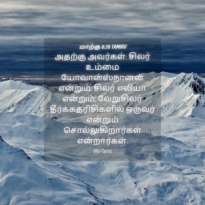 Picture 04 - மாற்கு 8:28 TAMIRV - அதற்கு அவர்கள்: - Bible Verse Picture