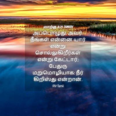 Picture 04 - மாற்கு 8:29 TAMIRV - அப்பொழுது, அவர்: - Bible Verse Picture