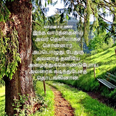 Picture 04 - மாற்கு 8:32 TAMIRV - இந்த வார்த்தையை - Bible Verse Picture
