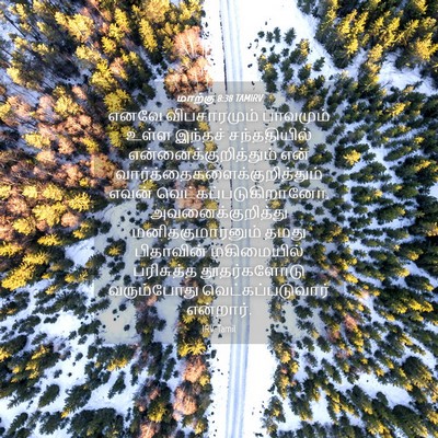 Picture 04 - மாற்கு 8:38 TAMIRV - எனவே விபசாரமும் - Bible Verse Picture