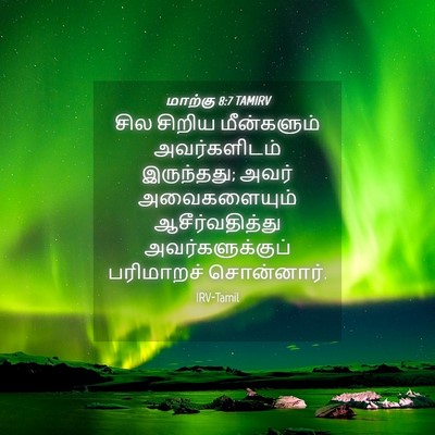 Picture 04 - மாற்கு 8:7 TAMIRV - சில சிறிய - Bible Verse Picture
