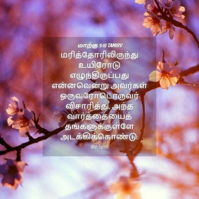 Picture 04 - மாற்கு 9:10 TAMIRV -  - Bible Verse Picture