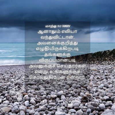 Picture 04 - மாற்கு 9:13 TAMIRV - ஆனாலும் எலியா - Bible Verse Picture