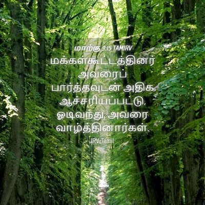 Picture 04 - மாற்கு 9:15 TAMIRV -  - Bible Verse Picture
