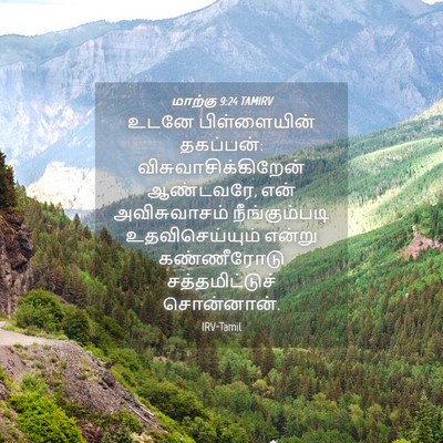 Picture 04 - மாற்கு 9:24 TAMIRV - உடனே பிள்ளையின் - Bible Verse Picture
