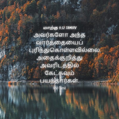 Picture 04 - மாற்கு 9:32 TAMIRV - அவர்களோ அந்த - Bible Verse Picture