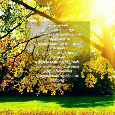 Picture 04 - மாற்கு 9:37 TAMIRV - இப்படிப்பட்ட சிறு - Bible Verse Picture