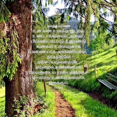 Picture 04 - மாற்கு 9:47 TAMIRV - உன் கண் உனக்கு - Bible Verse Picture