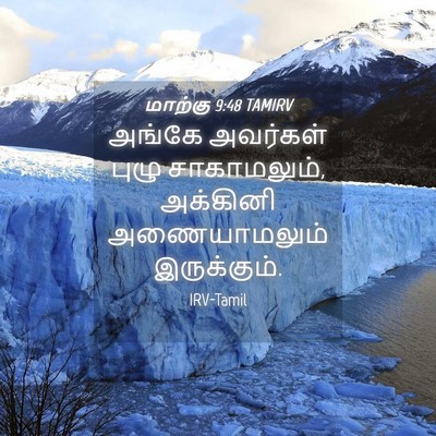 Picture 04 - மாற்கு 9:48 TAMIRV - அங்கே அவர்கள் - Bible Verse Picture