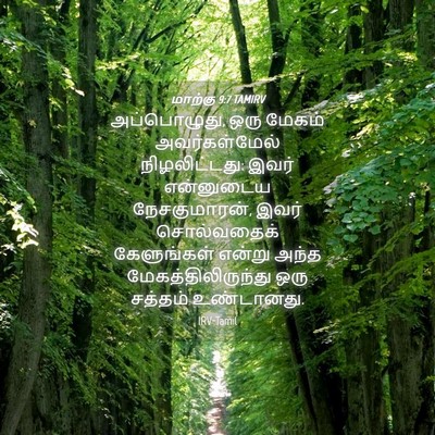 Picture 04 - மாற்கு 9:7 TAMIRV - அப்பொழுது, ஒரு - Bible Verse Picture