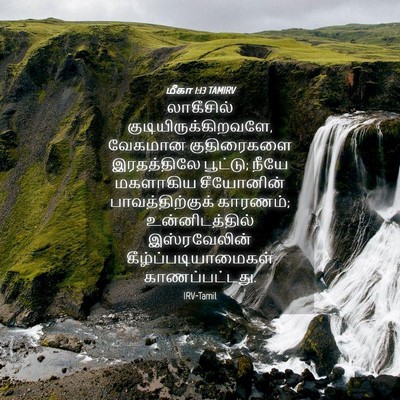Picture 04 - மீகா 1:13 TAMIRV - லாகீசில் - Bible Verse Picture