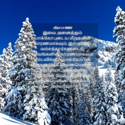 Picture 04 - மீகா 1:5 TAMIRV - இவை அனைத்தும் - Bible Verse Picture