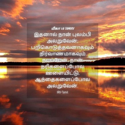 Picture 04 - மீகா 1:8 TAMIRV - இதனால் நான் - Bible Verse Picture