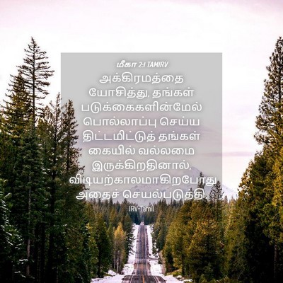Picture 04 - மீகா 2:1 TAMIRV - அக்கிரமத்தை - Bible Verse Picture