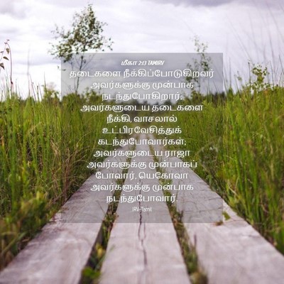 Picture 04 - மீகா 2:13 TAMIRV - தடைகளை - Bible Verse Picture