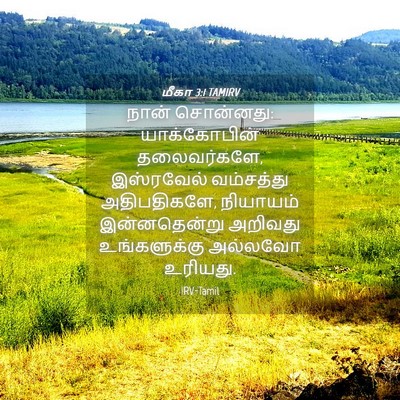 Picture 04 - மீகா 3:1 TAMIRV - நான் சொன்னது: - Bible Verse Picture