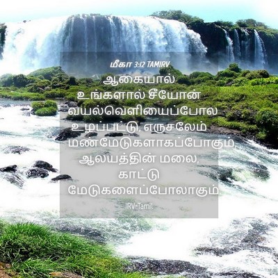 Picture 04 - மீகா 3:12 TAMIRV - ஆகையால் உங்களால் - Bible Verse Picture