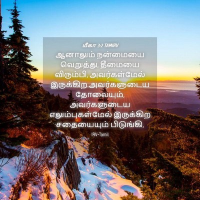 Picture 04 - மீகா 3:2 TAMIRV - ஆனாலும் நன்மையை - Bible Verse Picture