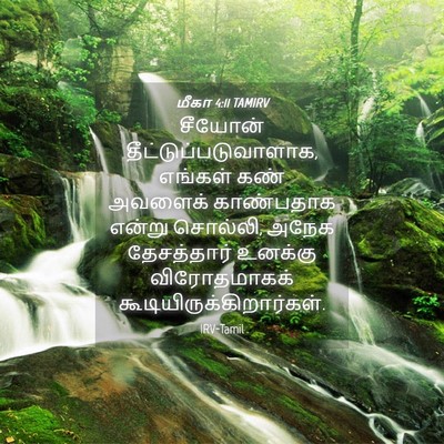 Picture 04 - மீகா 4:11 TAMIRV - சீயோன் - Bible Verse Picture