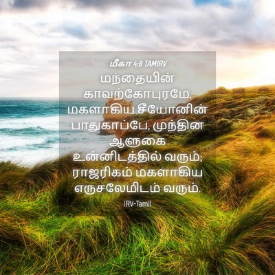 Picture 04 - மீகா 4:8 TAMIRV - மந்தையின் - Bible Verse Picture