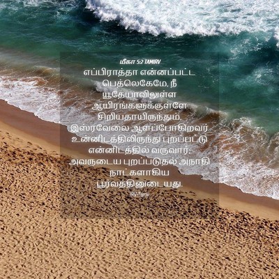 Picture 04 - மீகா 5:2 TAMIRV - எப்பிராத்தா - Bible Verse Picture