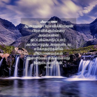 Picture 04 - மீகா 5:3 TAMIRV - ஆனாலும் - Bible Verse Picture
