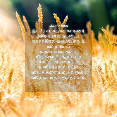 Picture 04 - மீகா 5:5 TAMIRV - இவரே சமாதான - Bible Verse Picture