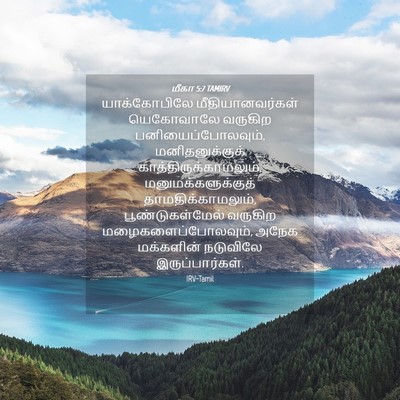 Picture 04 - மீகா 5:7 TAMIRV - யாக்கோபிலே - Bible Verse Picture