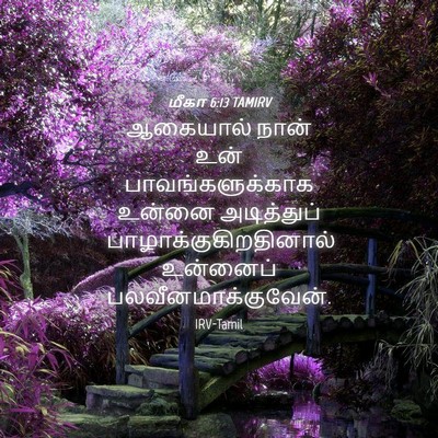 Picture 04 - மீகா 6:13 TAMIRV - ஆகையால் நான் உன் - Bible Verse Picture