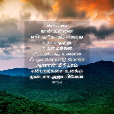 Picture 04 - மீகா 6:4 TAMIRV - நான் உன்னை - Bible Verse Picture