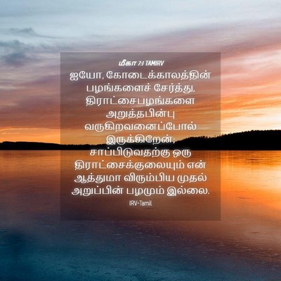 Picture 04 - மீகா 7:1 TAMIRV - ஐயோ, - Bible Verse Picture