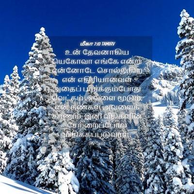 Picture 04 - மீகா 7:10 TAMIRV - உன் தேவனாகிய - Bible Verse Picture