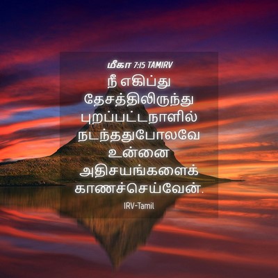 Picture 04 - மீகா 7:15 TAMIRV - நீ எகிப்து - Bible Verse Picture