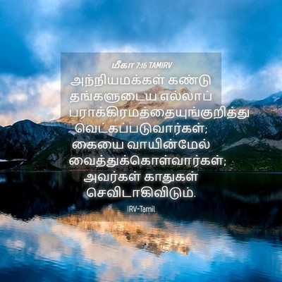 Picture 04 - மீகா 7:16 TAMIRV - அந்நியமக்கள் - Bible Verse Picture
