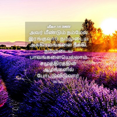 Picture 04 - மீகா 7:19 TAMIRV - அவர் மீண்டும் - Bible Verse Picture