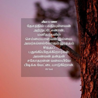 Picture 04 - மீகா 7:2 TAMIRV - தேசத்தில் - Bible Verse Picture