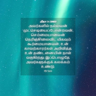 Picture 04 - மீகா 7:4 TAMIRV - அவர்களில் நல்லவன் - Bible Verse Picture