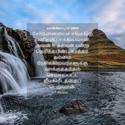 Picture 04 - யாக்கோபு 1:12 TAMIRV - சோதனையைச் - Bible Verse Picture