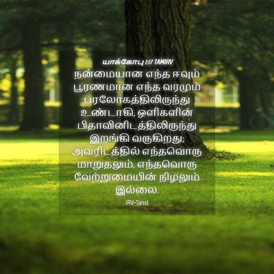 Picture 04 - யாக்கோபு 1:17 TAMIRV - நன்மையான எந்த - Bible Verse Picture