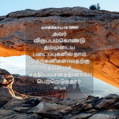 Picture 04 - யாக்கோபு 1:18 TAMIRV - அவர் - Bible Verse Picture