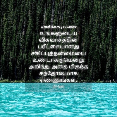 Picture 04 - யாக்கோபு 1:3 TAMIRV - உங்களுடைய - Bible Verse Picture