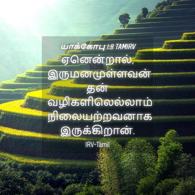 Picture 04 - யாக்கோபு 1:8 TAMIRV - ஏனென்றால், - Bible Verse Picture
