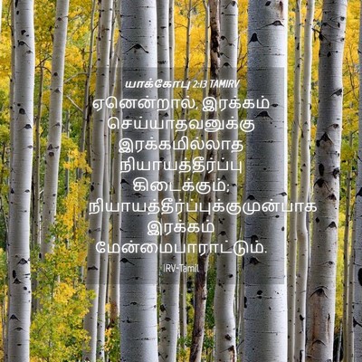 Picture 04 - யாக்கோபு 2:13 TAMIRV - ஏனென்றால், - Bible Verse Picture