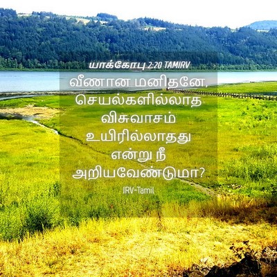 Picture 04 - யாக்கோபு 2:20 TAMIRV - வீணான மனிதனே, - Bible Verse Picture