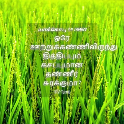 Picture 04 - யாக்கோபு 3:11 TAMIRV - ஒரே - Bible Verse Picture