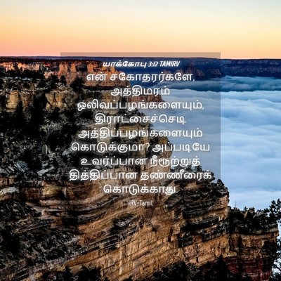 Picture 04 - யாக்கோபு 3:12 TAMIRV - என் சகோதரர்களே, - Bible Verse Picture