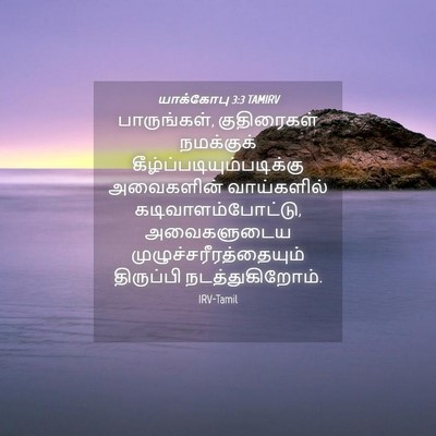 Picture 04 - யாக்கோபு 3:3 TAMIRV - பாருங்கள், - Bible Verse Picture