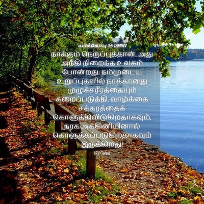 Picture 04 - யாக்கோபு 3:6 TAMIRV - நாக்கும் - Bible Verse Picture