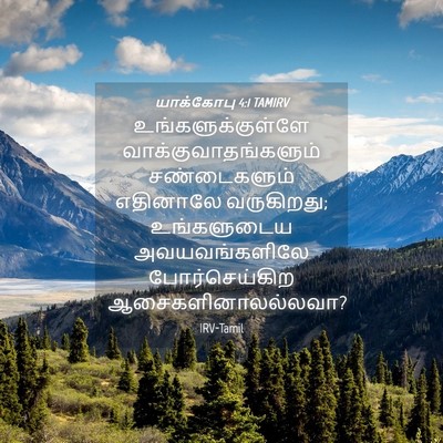 Picture 04 - யாக்கோபு 4:1 TAMIRV - உங்களுக்குள்ளே - Bible Verse Picture