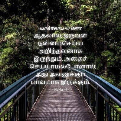 Picture 04 - யாக்கோபு 4:17 TAMIRV - ஆதலால், ஒருவன் - Bible Verse Picture